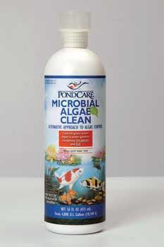 Pondcare Microbial Algae Clean 16 oz. Bottle