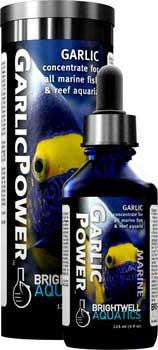 Brightwell Garlic Power Concentrated Supplement 1 oz. 30 ml.