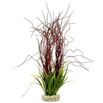 Blue Ribbon Gravel Base Plant - Water Hair Grass Red