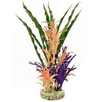 Blue Ribbon Gravel Base Plant - Fiesta Aqua Hawaii Multi