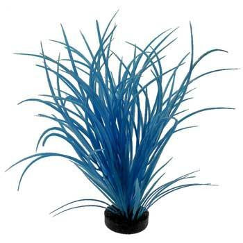 Blue Ribbon Colorburst Plant Ocean Grass Neon Blue