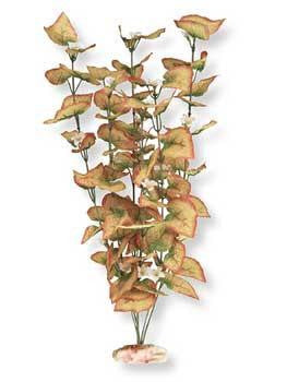 Blue Ribbon Plant - Flowering Marsh Wood X-Large Orange