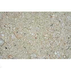 CaribSea Ocean Direct Natural Live Sand 40lb