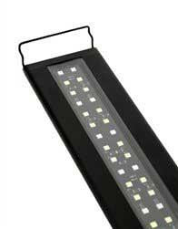 Satellite Freshwater LED Plus 24"-30