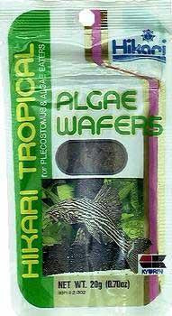 Hikari Tropical Sinking Algae Wafers .70OZ