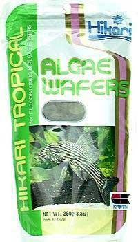 Hikari Tropical Sinking Algae Wafers 8.8oz