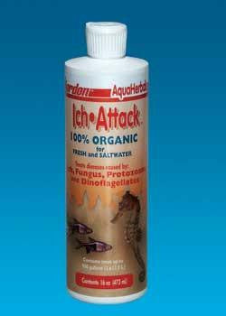 Kordon Ich Attack 16OZ