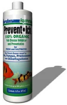 Kordon Prevent Ich 16 OZ