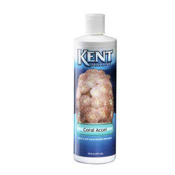 Kent Marine Coral Accelerator 16 oz.