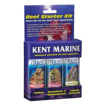 Kent Reef Starter Kit 3 Pc.