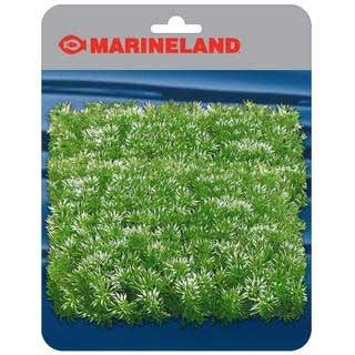 Marineland Linden Plant Matt