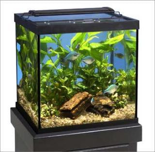 Marineland 27 Gallon Tank Cube Black 20x18x20