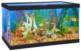 Marineland Perfecto 34 Gallon Tank Black 30x18x16