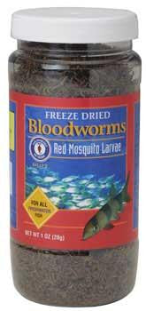 San Francisco Freeze Dried Bloodworms 28gm