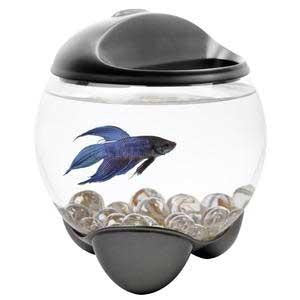 Tetra Betta Bubble W- LED Light