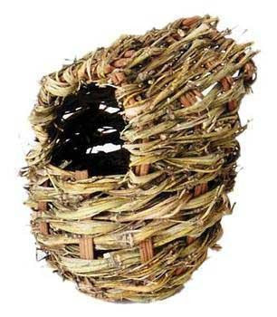 Finch Covered Twig Nest