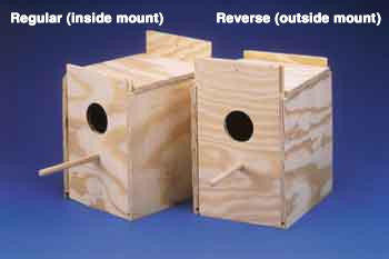 Ware Wood Nesting Box Cockatiel Reverse