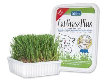 Gimborn Gimpet Cat Grass 150g