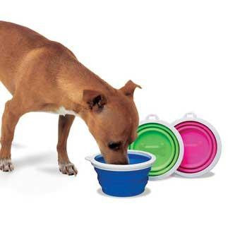 Fat Cat Silicone Travel Bowl -1 Cup Tray