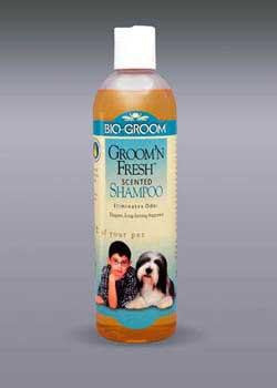 Bio-Groom Groom'N Fresh Shampoo 12Oz