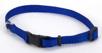 Coastal Style 6301 3-8" x 8-12" Nylon Adjustable Collar Blue