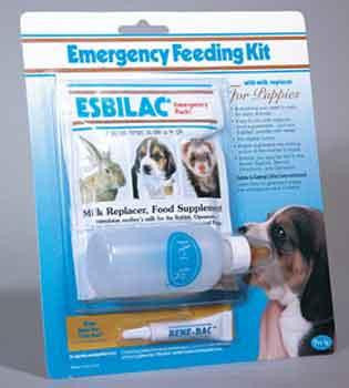 PetAg Esbilac Emergency Feeding Kit