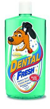 Synergy Labs Dental Fresh 16 oz.