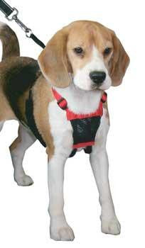 Non-Pulling Mesh Harness Small Black