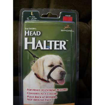 Head Halter Large Black