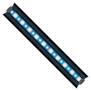 Wavepoint Technology 24e 20-watt Super Blue & 10000k Daylight Photon Energy LED High Output Light Strip