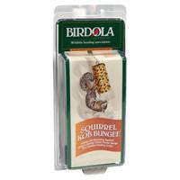 Birdola Squirrel KOB Bungee