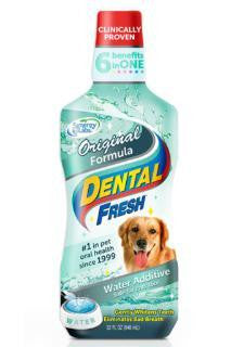 Synergy Labs Dental Fresh 32 oz.