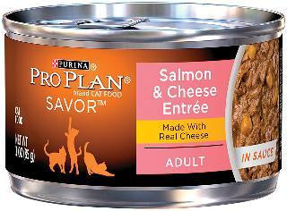 Pro Plan Savor In Sauce Salmon-Cheese Cat 24-3oz