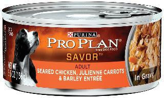 Pro Plan Adult Seared Chicken-Carrot Can Dog 24-5.5oz