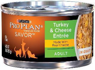 Pro Plan Turkey Cheddar Cheese Can Cat, 24-3 Oz