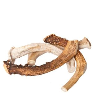 Best Buy Bones Inc. American Jumbo Elk Antler 9-11" Bulk