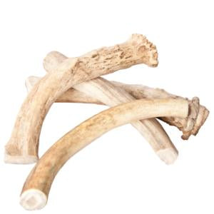 Best Buy Bones Inc. American Jumbo Elk Antler 8-9" Bulk