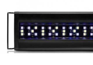 Orbit Marine LED Lighting System W-Timer 24"-36