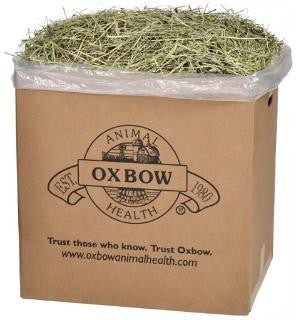 Oxbow Western Timothy Hay 50 lb.