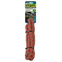 Four Paws Nite Brite Leash, 5-8" x 6', Red