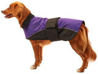 Ethical XSmall Purple Waterproof Reflect Coat