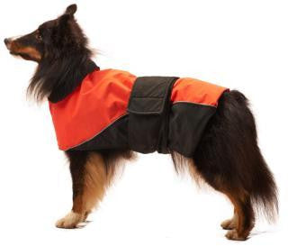 Ethical Orange Waterproof & Reflective Dog Coat