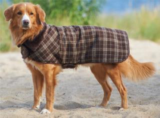 Ethical Country Plaid Dog Coat