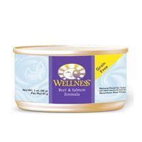 Wellness Beef-Salmon Cat 24-3OZ