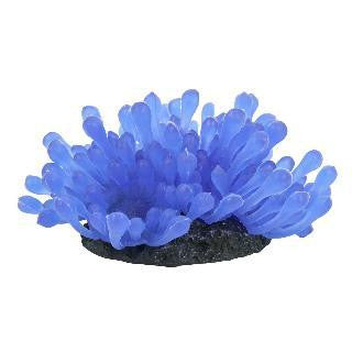 Tetra Blue Anemone, Wonderland Aquarium Decoration