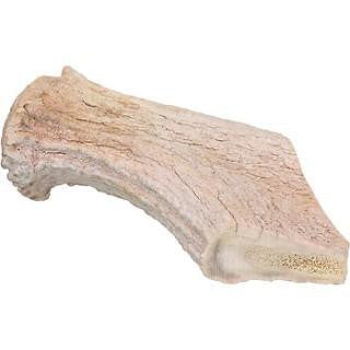 QT Dog Antlerz Deer Antler Chew Jumbo