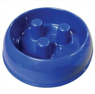 QT Dog Brake-Fast Bowl Medium Swirl Blue