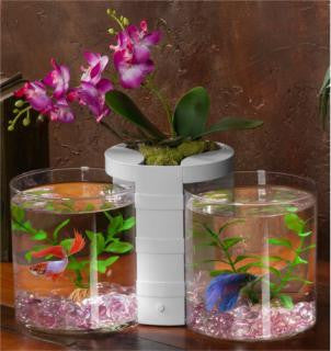 Elive White Betta Cylinder & Planter