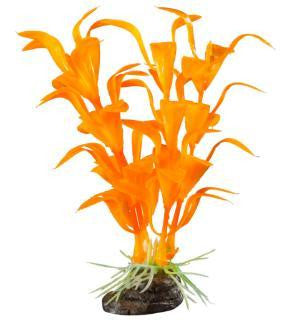 Elive Glow Elements Neon Tangerine Ludwigia - Small - 4 in.