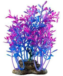 Elive Glow Elements Lindernia Technicolor - Medium - 5-6 in.